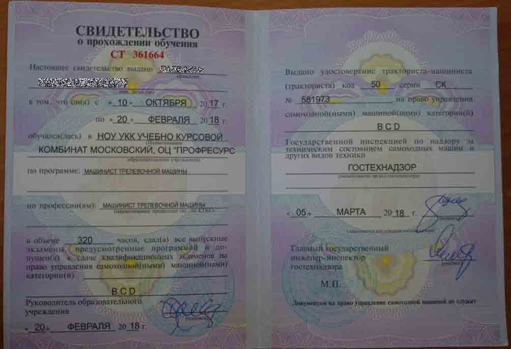 Фиктивное свидетельство